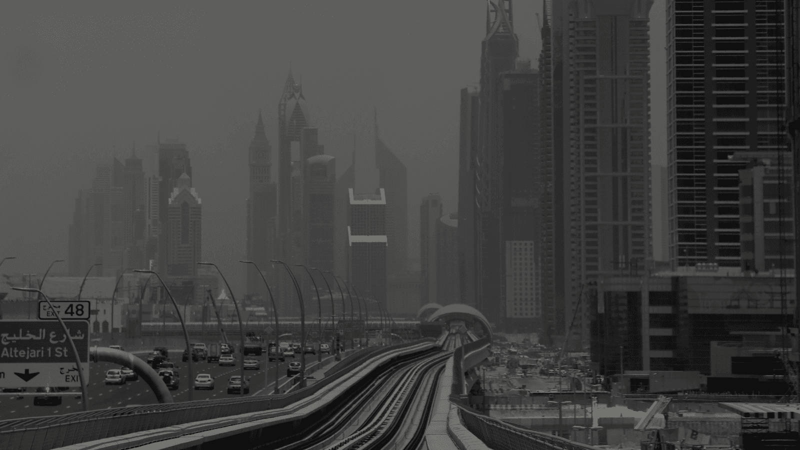 Lena Bara, Performance Marketing Strategist